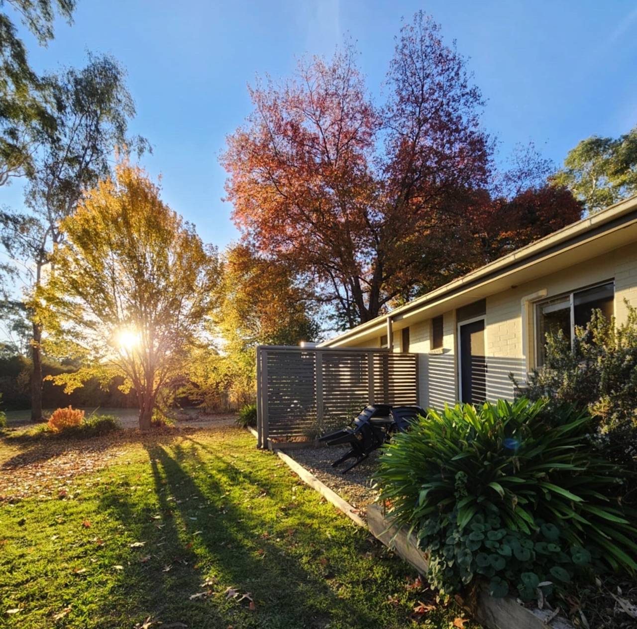 Morning sun through an autumn tree, casting long shadows across the lawn beside the units