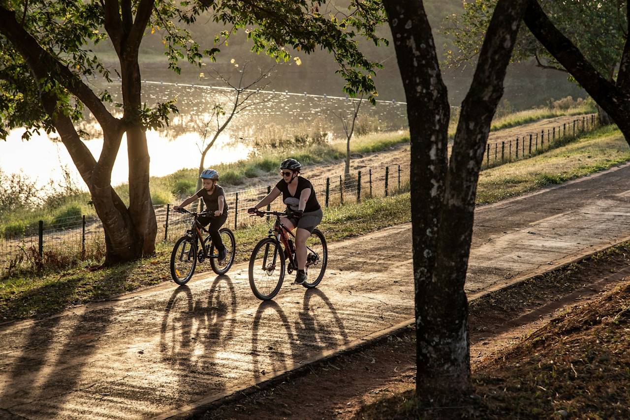 Two cyclists riding a tree-lined path in warm afternoon light