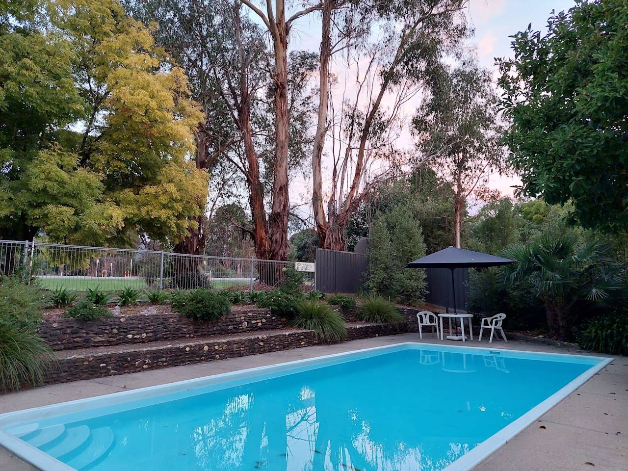 The swimming pool at dusk, framed by established gums